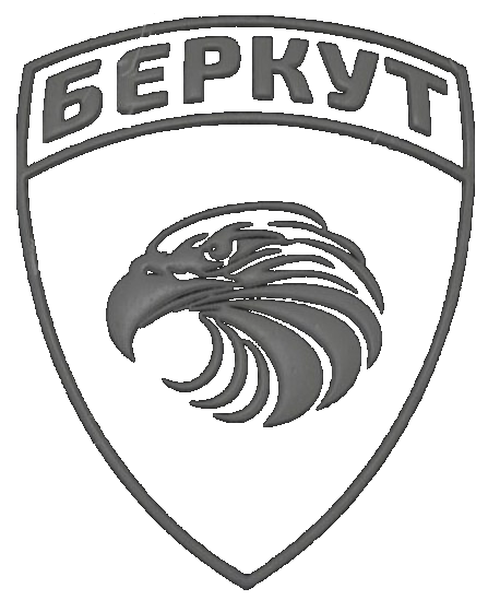 Логотип ЧОО "Беркут"