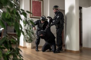ЧОО «Цезарь Патруль»
