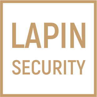 Детективное агентство «Lapin Security»