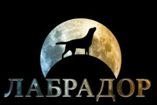 Детективное агентство «Лабрадор»