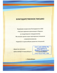 Охранная организация "Родина СПБ"